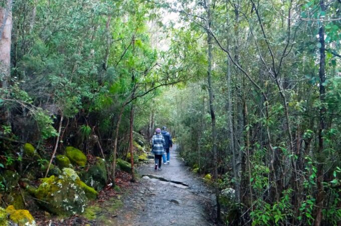 Kunanyi & Mt Wellington Explorer Bus: One-Way Bus Pass - Meeting Point and Directions