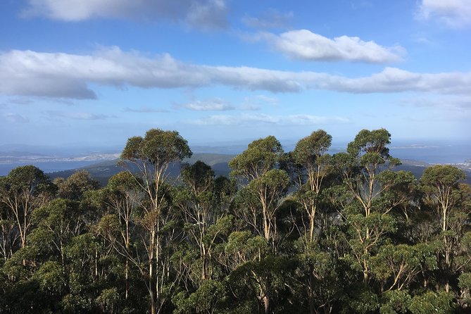 Kunanyi/Mt Wellington Explorer Bus - One Way Tour - Meeting and End Points