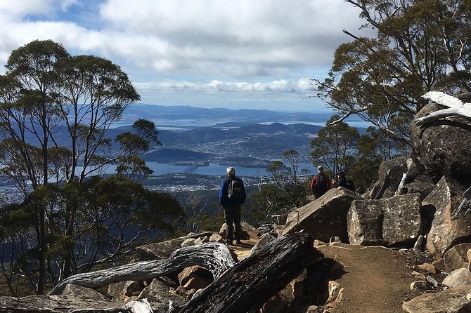 Kunanyi/Mt Wellington Explorer Bus - One Way Tour - Physical Requirements