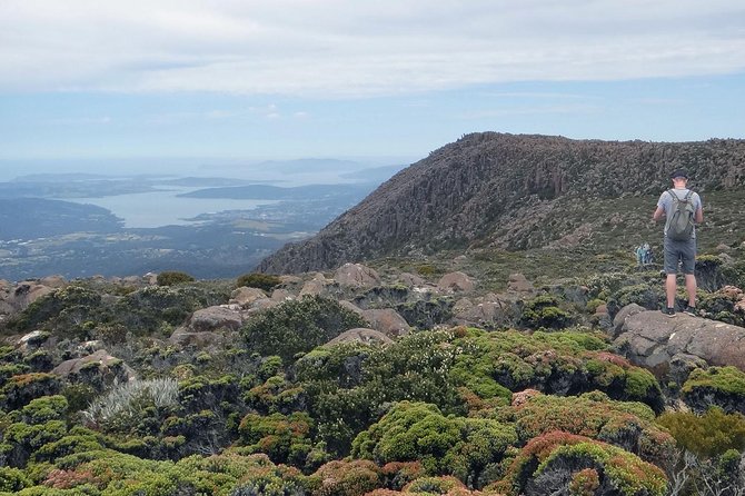 Kunanyi/Mt Wellington Explorer Bus - One Way Tour - Transportation and Logistics