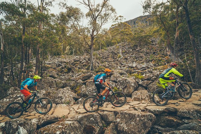 Kunanyi/Mt Wellington Explorer Bus - One Way Tour - Customer Feedback