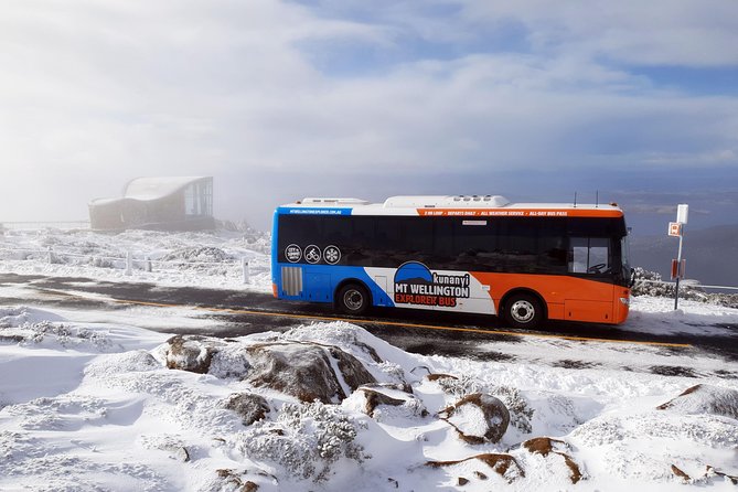 Kunanyi/Mt Wellington Explorer Bus- Return Tour (2.5 Hours) - Accessibility and Safety