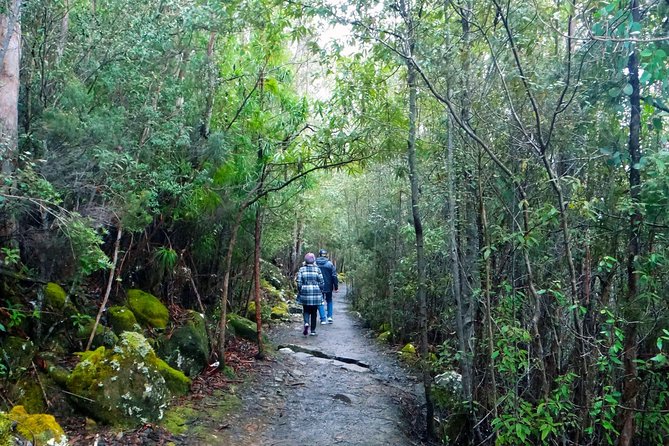 Kunanyi/Mt Wellington Explorer Bus- Return Tour (2.5 Hours) - Traveler Experiences and Feedback