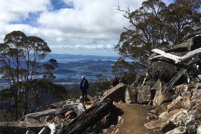 Kunanyi/Mt Wellington Explorer Bus- Return Tour (2.5 Hours) - Stunning Views From the Summit