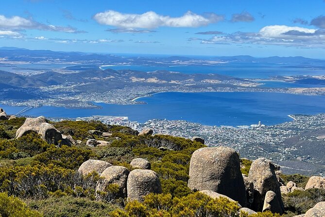 Kunanyi/Mt Wellington Explorer Bus- Return Tour (2.5 Hours) - Convenient Transportation Option