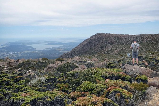 Kunanyi/Mt Wellington Explorer Bus- Return Tour (2.5 Hours) - Flexible Exploration Opportunities
