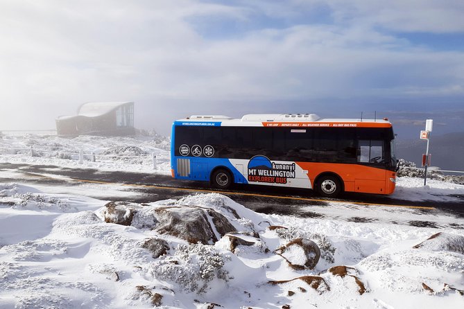 Kunanyi/Mt Wellington Tour & Hobart Hop-On Hop-Off Bus - Reviews and Pricing