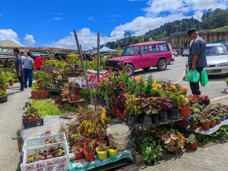 Kundasang : ATV Ride, Dairy Farm Visit & Meal Shared Tour - Pickup and Drop-off Locations