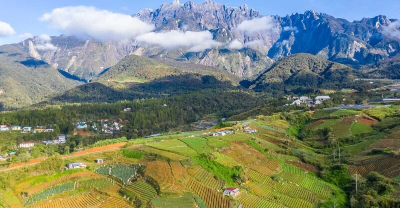 Kundasang: Day Tour With Desa Dairy Farm & Alpaca Club - Key Points