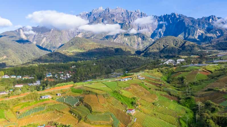 Kundasang: Day Tour With Desa Dairy Farm & Alpaca Club - Experiences and Attractions