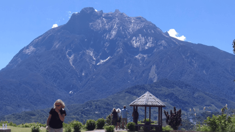 Kundasang: Day Tour With Desa Dairy Farm & Alpaca Club - Inclusions and Transportation