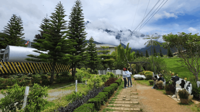 Kundasang: Day Tour With Desa Dairy Farm & Alpaca Club - Frequently Asked Questions