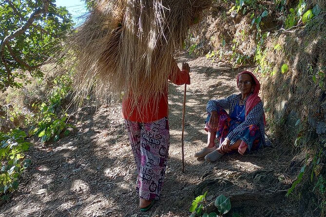 Kunjapuri Yoga Day Hike - Itinerary and Meals