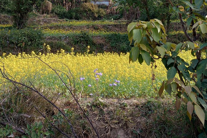 Kunjapuri Yoga Day Hike - Breathtaking Views and Scenery