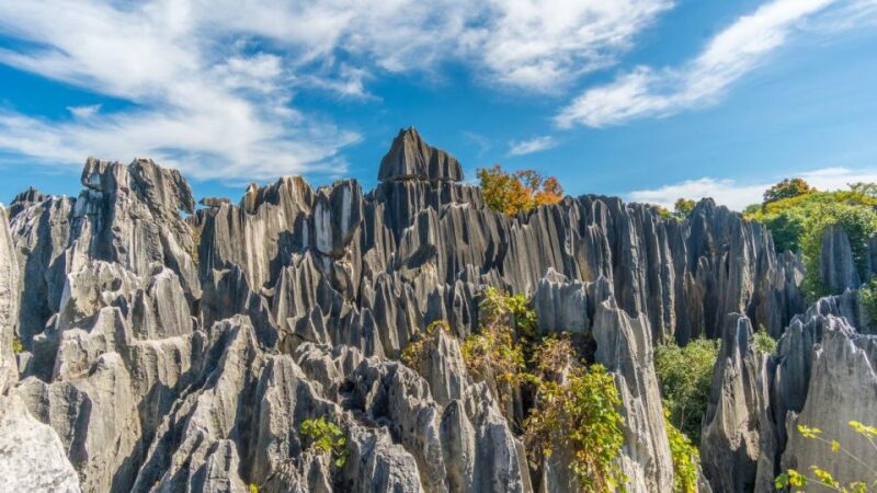 Kunming: Private Half Day Tour of Stone Forest Park W/Option - Itinerary and Activities