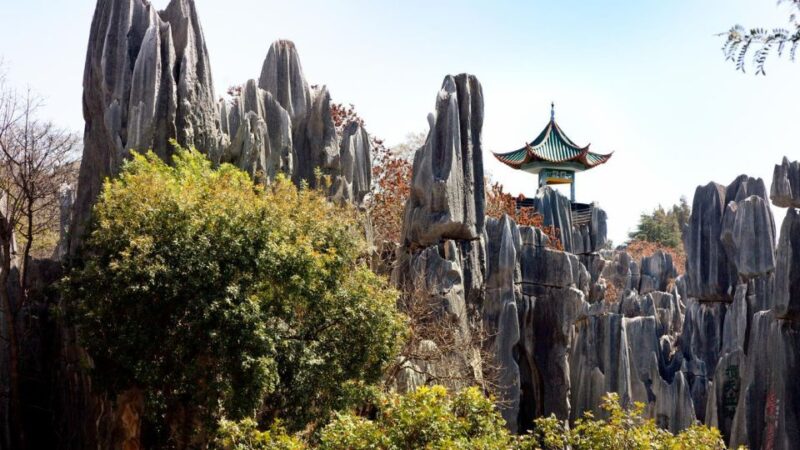 Kunming: Private Half Day Tour of Stone Forest Park W/Option - Transportation and Comfort