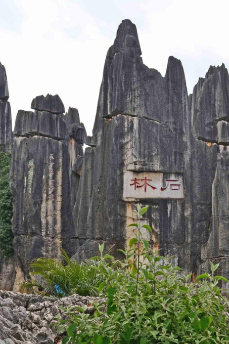 Kunming: Stone Forest and Jiuxiang Cave Day Tour - Frequently Asked Questions