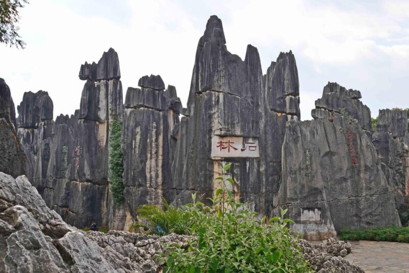 Kunming Stone Forest Day Tour - Key Points