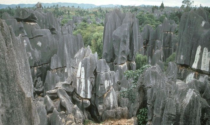 Kunming: Stone Forest Private Day Tour - Itinerary and Activities