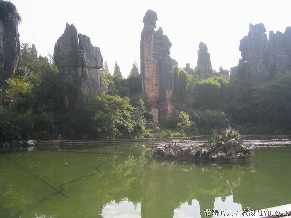 Kunming: Stone Forest Private Day Tour - Booking and Cancellation Policy