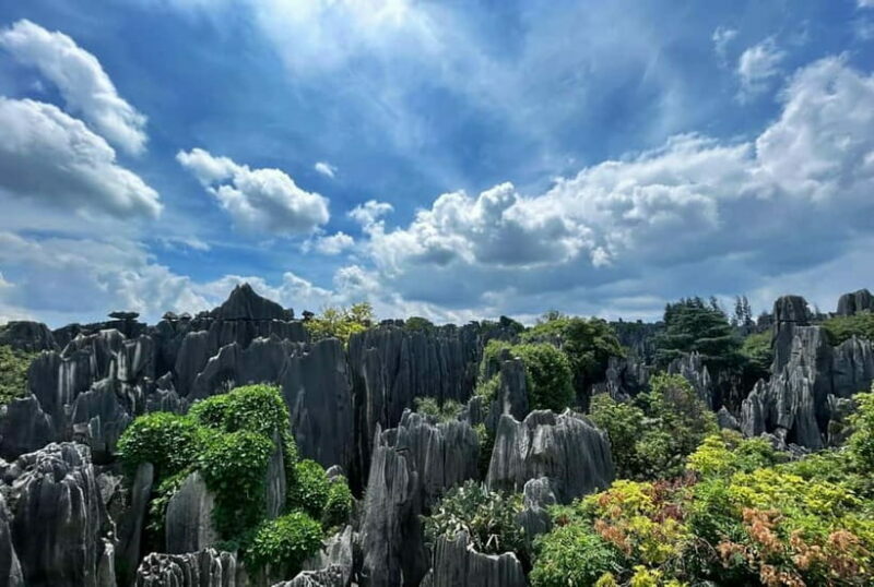 Kunming: Stone Forest, Roast Duck Lunch and City Tour - Key Points