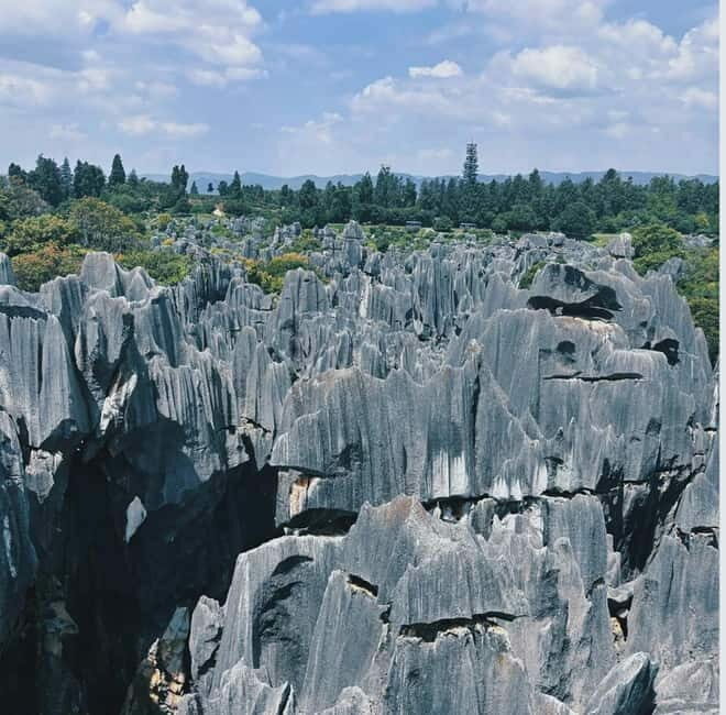 Kunming: Stone Forest, Roast Duck Lunch and City Tour - What to Expect at the Stone Forest