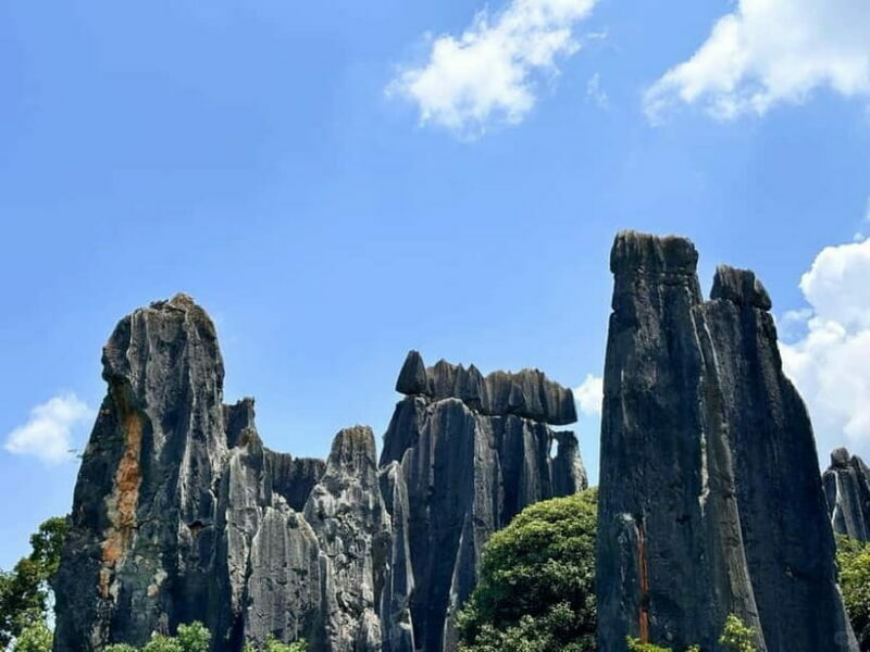 Kunming: Stone Forest, Roast Duck Lunch and City Tour - Customizable Kunming City Tour
