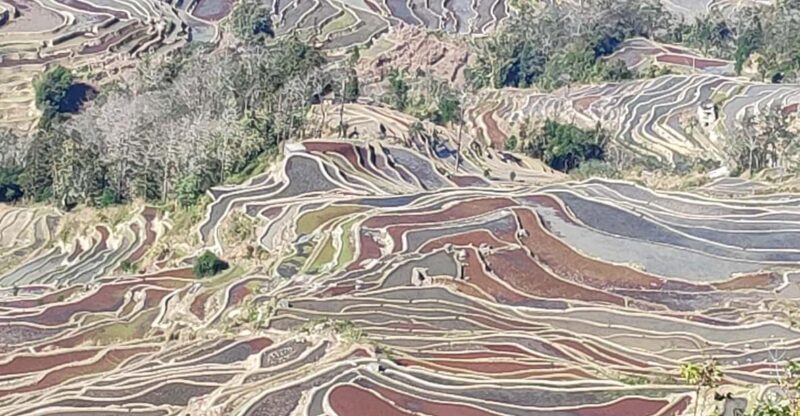 Kunming Stone Forest, Yuanyang Terrace, Jianshui Old Town - 4 Days - Key Points