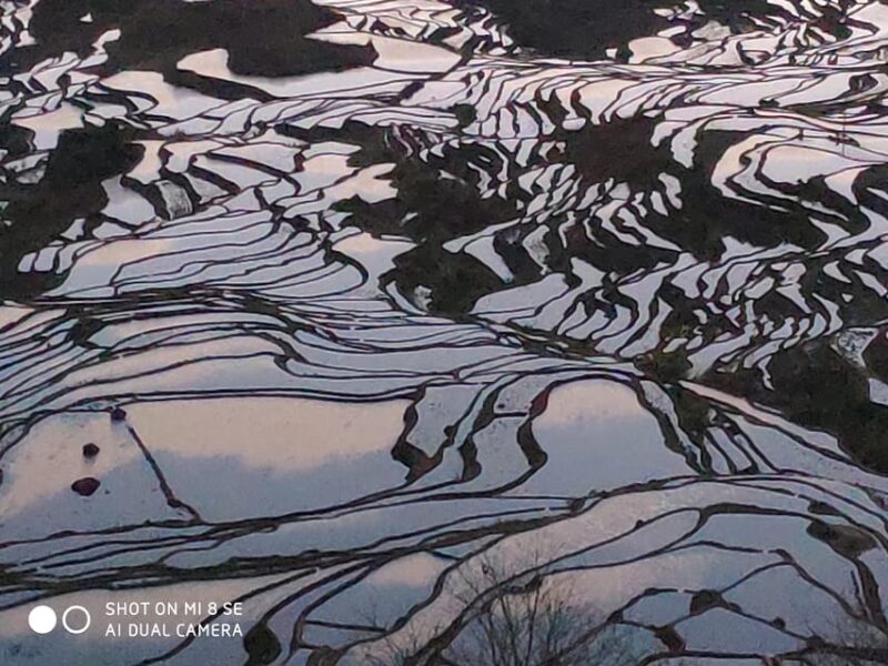 Kunming Stone Forest, Yuanyang Terrace, Jianshui Old Town - 4 Days - Jianshui Ancient City