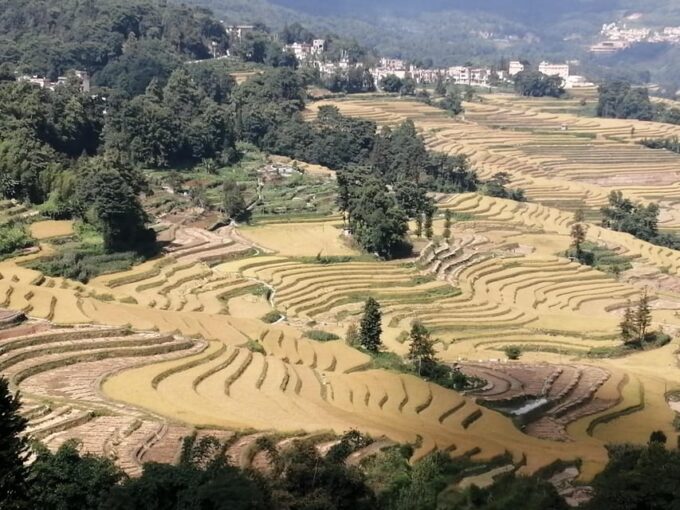 Kunming Stone Forest, Yuanyang Terrace, Jianshui Old Town - 4 Days - Daily Itinerary