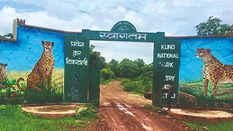 Kuno National Park Tour 3 Nights 4 Days - Key Points