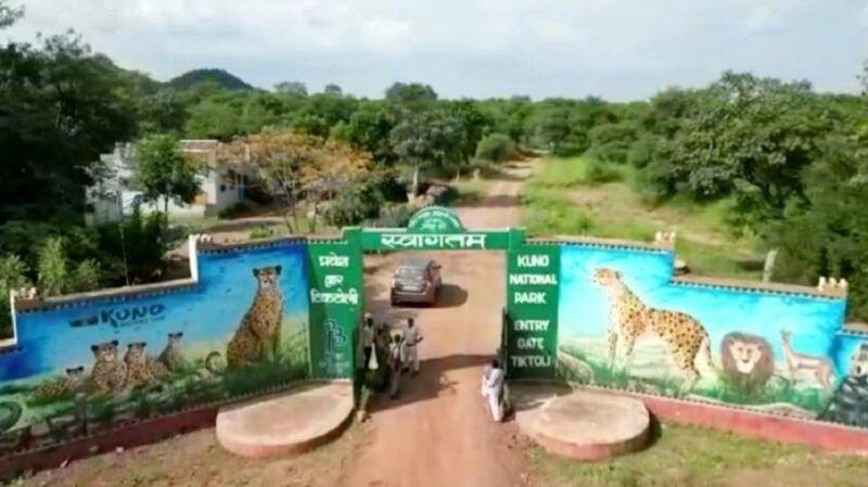 Kuno National Park Tour 3 Nights 4 Days - Tour Features