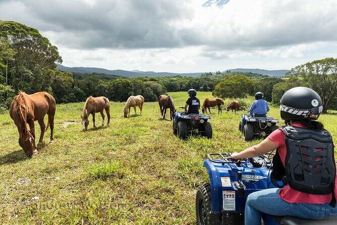 Kuranda 60 minute Quad Bike Experience and Petting Farm - Who Would Enjoy This Tour?