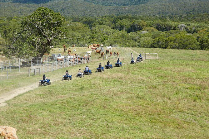 Kuranda 60 minute Quad Bike Experience and Petting Farm - FAQ