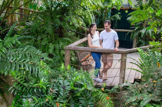 Kuranda: Australian Butterfly Sanctuary - Recap