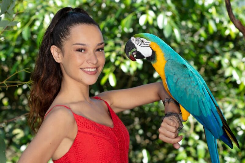 Kuranda: Birdworld Entry Ticket - Key Points