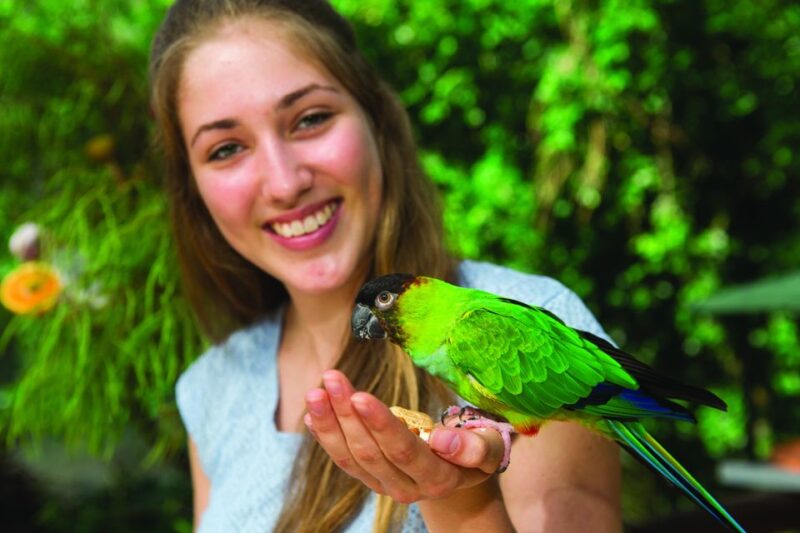 Kuranda: Birdworld Entry Ticket - Bird Species Highlights