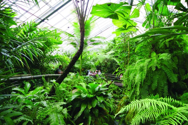 Kuranda, Cairns & Port Douglas Multi-Park Package - Wildlife Habitat Port Douglas