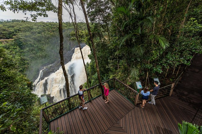Kuranda Day Tour, TKS-RFS CLASSIC GOLD PLUS 0930 - Health and Safety Information