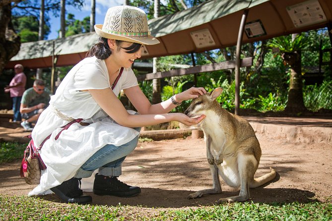 Kuranda Day Tour, TKS-RFS CLASSIC GOLD PLUS 0930 - Booking Information