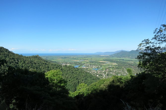 Kuranda Day Trip From Port Douglas by Bus - Inclusions and Highlights