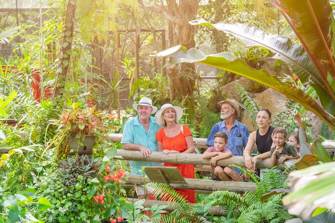 Kuranda Day Trip From Port Douglas by Bus - Australian Butterfly Sanctuary