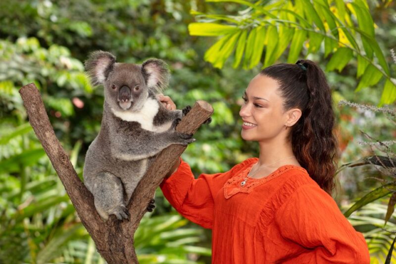 Kuranda: Friends in the Rainforest Koala Gardens & Birdworld - Ticket Pricing and Reservations