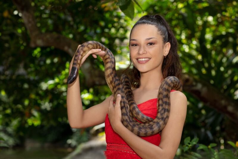 Kuranda: Friends in the Rainforest Koala Gardens & Birdworld - Hand-Feeding Opportunities
