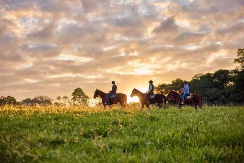 Kuranda Half Day with Petting Zoo & Horse Trail Ride Tour - Key Points