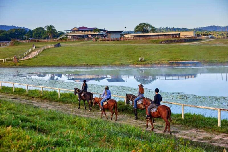 Kuranda Half Day with Petting Zoo & Horse Trail Ride Tour - What Makes This Tour Stand Out