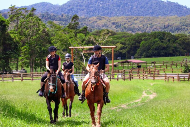 Kuranda Half Day With Petting Zoo & Horse Trail Ride Tour - Pickup and Transportation