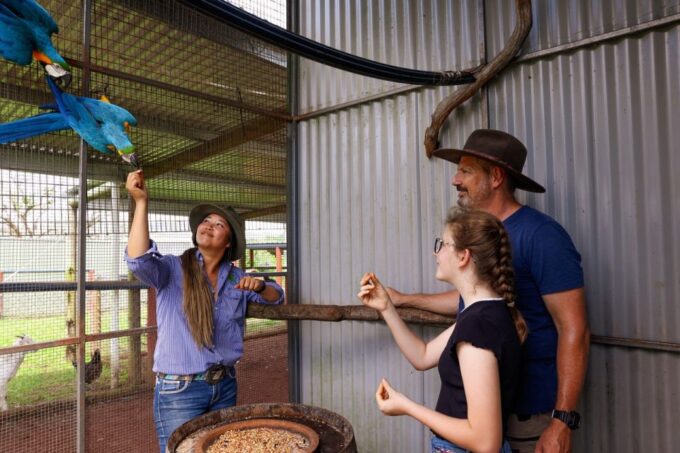 Kuranda Half Day With Petting Zoo & Horse Trail Ride Tour - Restrictions and Requirements