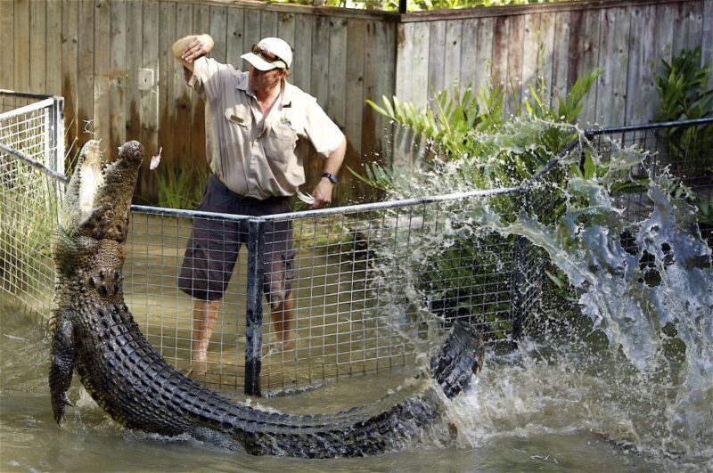 Kuranda & Hartleys Crocodile Adventures - Key Points