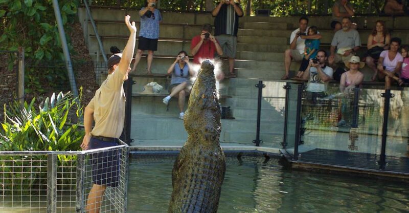 Kuranda & Hartleys Crocodile Adventures - Pickup and Drop-off